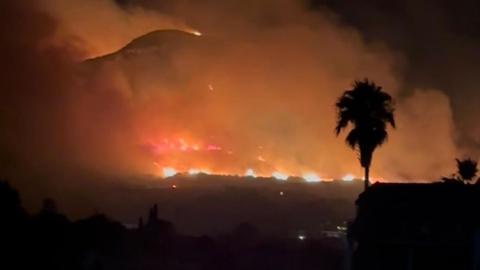 A fire burning at night. A tree is silhouetted against the flames