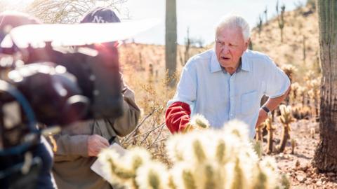 Sir David Attenborough holding a cactus. He has a protective red glove on