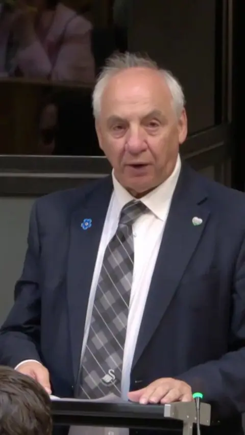 Mike Hedges, who has grey hair and a suit, stood up in the Senedd