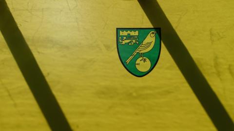 An image of the Norwich City club crest against a yellow background with two lines of black shadows coming across