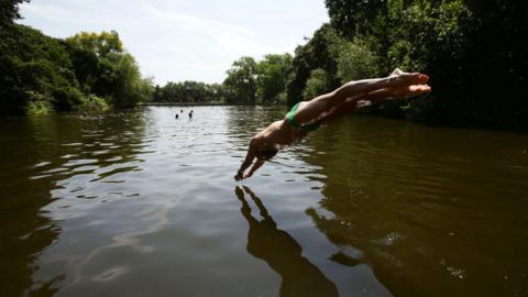 A swimmer dives into the water at the mixed bathing ponds in Hampstead Heath