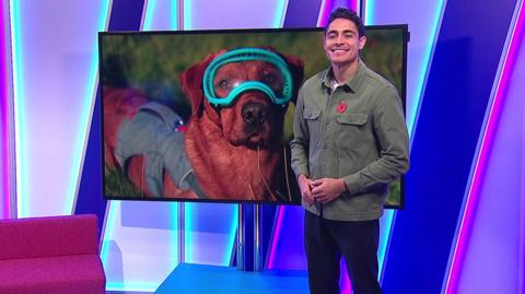 Otis in the studio with a dog in goggles in the screen