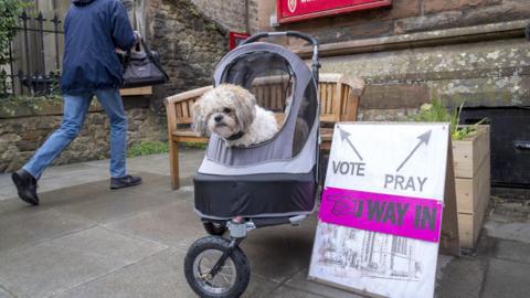 A dog outside a polling station in Edinburgh