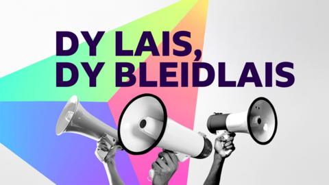 Mae tair llaw i’w gweld ar waelod y graffeg yn dal megaffonau. Uwchben mae'r geiriau "Dy Lais, Dy Bleidlais"  mewn testun trwm. O dan y ddau mae dyluniad geometrig sy'n dangos sbectrwm mawr o wahanol liwiau mewn dyluniad triongl.