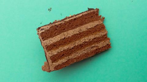 A slice of chocolate cake on a green background