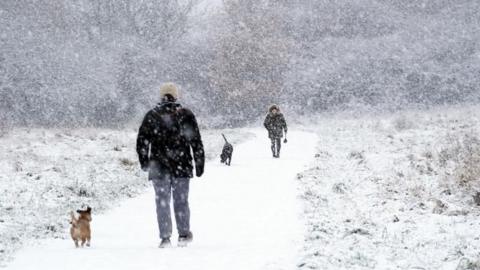 Two people walking dogs along a woodland path in the snow. 