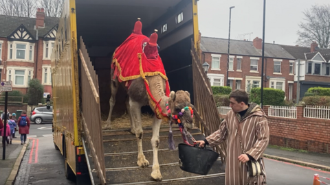 A camel walking off a lorry, with its rein being held by a man holding a bucket of water. 