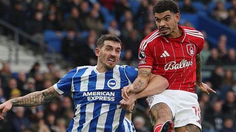 Lewis Dunk and Morgan Gibbs-White tussle for the ball