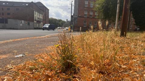 Long grass at a junction in Derby