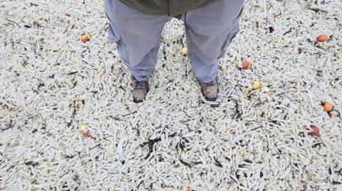 A man standing in thousands of chips.