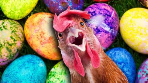 Colourful eggs with an open-mouthed chicken in front