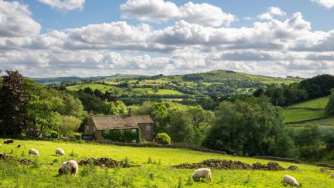 Rural scene near Chapel-en-le-Frith in Derbyshire with Eccles Pike seen in the distance. Sheep grazing in a green field with farm buildings and hills in the distance, with blue sky and sun overhead