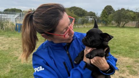 A woman holding a black puppy. She's wearing an electric blue jacket, with the letters 'RSPCA' on her left arm. She has brown hair which is tied up in a pony tail. She's also wearing glasses which have an orange frame. She is looking at the dog, which is looking back at her. They're standing in a field. 