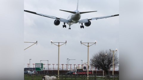 A passenger plane flying over a horse grazing as it makes its landing approach to Heathrow Airport in west London. 