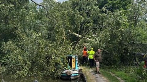 A large green tree has fallen over a canal and is blocking the water and towpath. There is a blue and yellow canal boat underneath the leaves and branches. Three people are next to the tree, using tools on the towpath section.