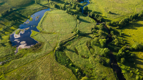 An aerial view of a very green landscape with trees and pasture and to the right a very large pond 
