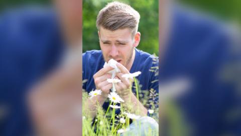 A man wearing a blue t-shirt sits in a field surrounded by daisies and sneezes into a tissue.