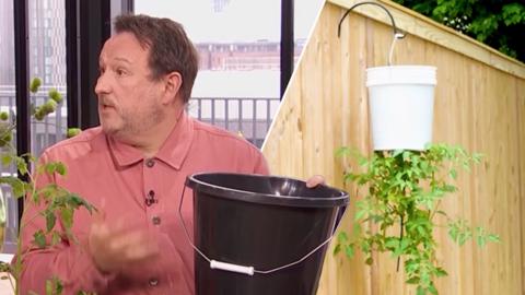 Morning Live presenter Mark Lane holding a black bucket. On the right is a bucket-turned-planter hanging on a fence