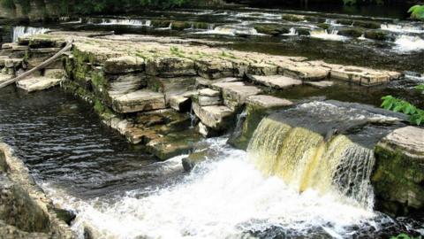 The Richmond Falls are a series of terraces and pools with water cascading over limestone formations.