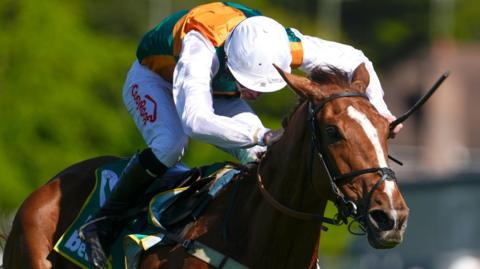 Havaila wins at Sandown in the Bet365 Gold Cup