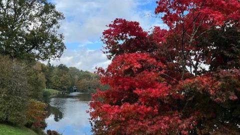 A fiery-red acer stands in the foreground, to the right. There is a bank of green grass and trees to the left with a stretch of water behind and more autumnal trees in the background. The sky above is blue with thin cloud-cover.