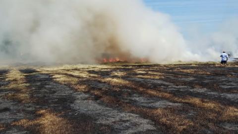Field with fire in background