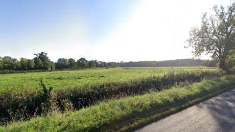 A field next to Dog Trap Lane