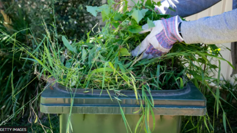 Hands with gardening gloves placing grass and green cuttings in to a green wheelie bin 