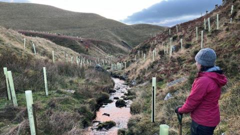 A worker who is wearing a woolly hat and pink coat stands with their hands on a spade looking over several circular cones (where trees have been planted). They look over rolling hills of the North Pennines. 
