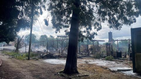 The smoking remains of a large college building which has been destroyed by a fire. A tree is directly in front of us.