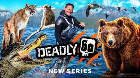 Deadly 60