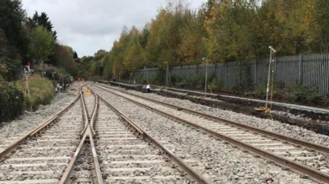 Train tracks surrounded by trees