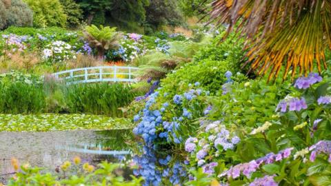 A picture of the flowers in the wild. There is a number of different colours that surround a foot bridge and water in the background. 