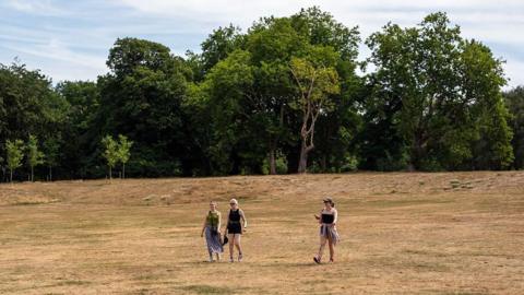 Women walking through Greenwich Park in London surrounded by parched brown grass against a backdrop of trees