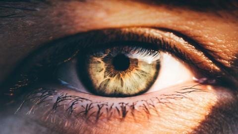A close-up of an eye.