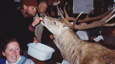 A stag being fed inside Loch Ossian Youth Hostel by a man in a woolly hat, checked shirt and jumper. He is watched by another man, while a woman in the foreground smiles.