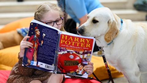 Young girl reading Harry Potter book to a guide dog