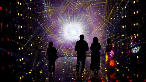 visitors look at a piece at Tokyo's Borderless museum.