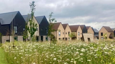 A row of new-build houses with a green meadow in front of them. There are flowers and grass in the meadow. The houses are made of brick with gabled roofs. There are a few trees and the sky is grey. 