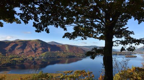 Picturesque image of green hills and clear water with a tree in the foreground. It is sunny. 