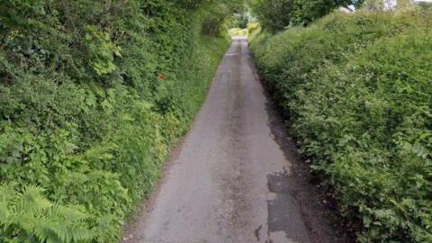 A country lane that is narrow and surrounded on both sides by green trees, grass, weeds and bushes