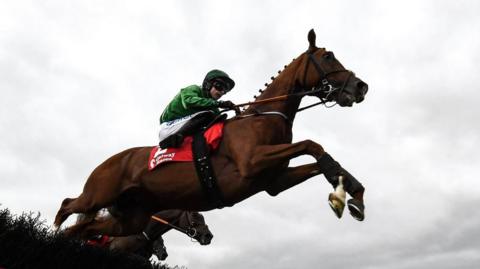 Ridden by Sean O'Keeffe, HMS Seahorse is shown jumping over a fence during a race in Ireland in 2022. The image is taken from underneath the horse, with grey clouds visible behind. O'Keefe wears a green top and helmet with white trousers. 