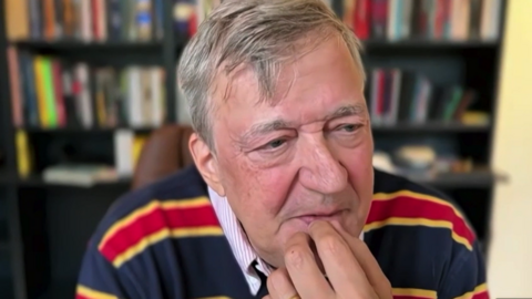 Stephen Fry, a white man with grey hair, holds his head in his hands as he appears to think hard. 