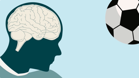 Graphic of a white brain inside the dark blue silhouette of a human head, with a black and white football in the top right corner