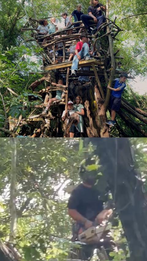 One half shows a tree house with children playing on it, the other half shows it being demolished.
