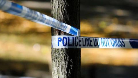 Blue and white police tape wrapped around a tree. 