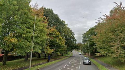 A tree lined road with cars on it and a person walking a dog.