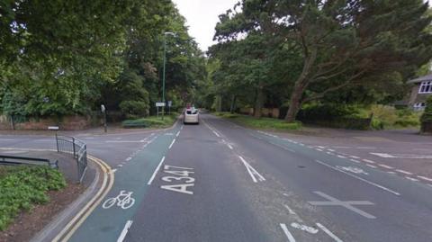 Tree lined road with junction running across from left to right.