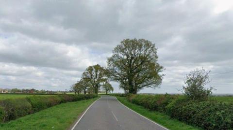 Streetview image of Sheepy Lane, a rural road with thick hedges and fields either side