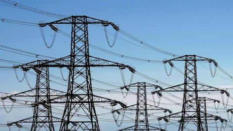 Rows of pylons with a blue sky behind them.